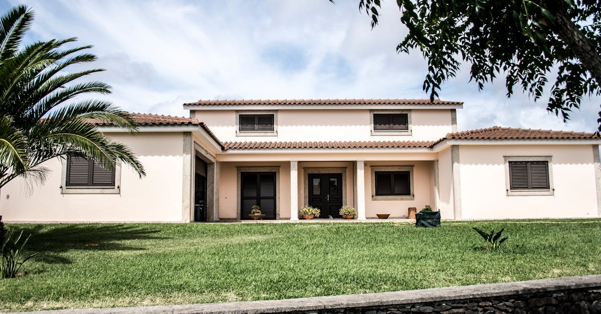A stylish modern family home with a lush lawn and palm tree under a bright sky.